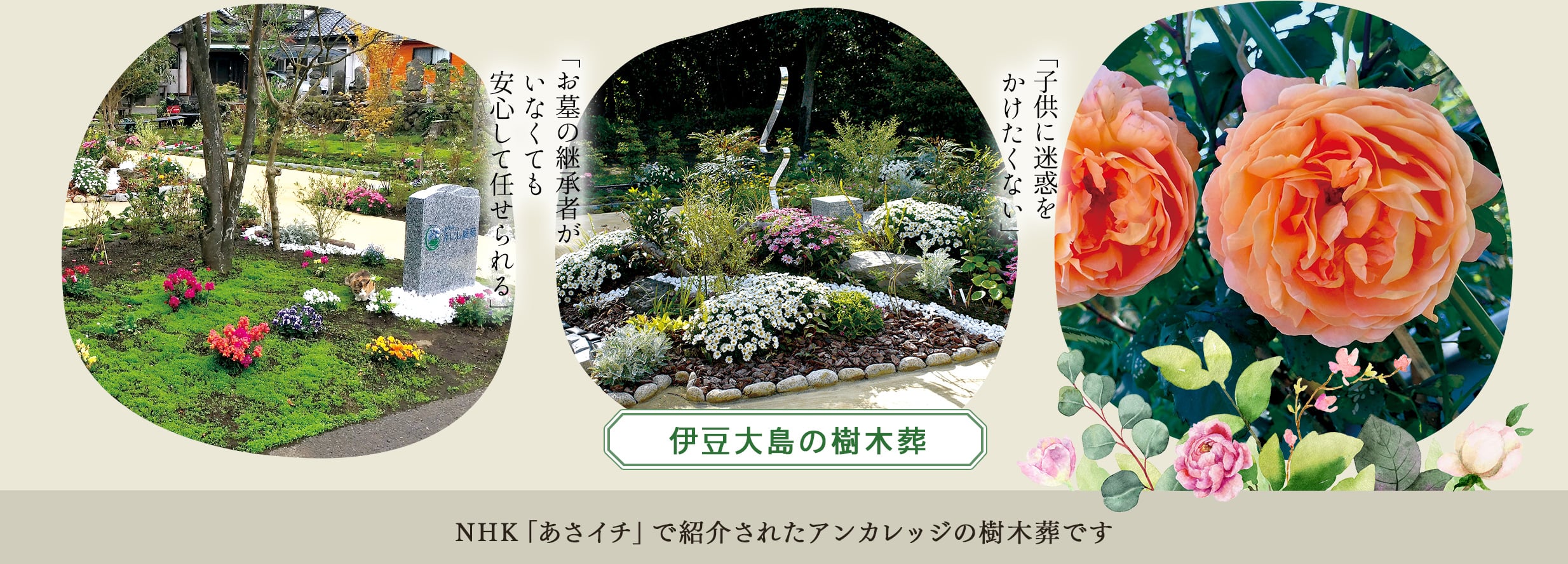 伊豆大島の樹木葬　NHKあさイチで紹介されたアンカレッジの樹木葬です。