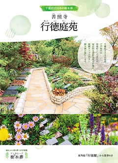 善照寺 行徳庭苑資料