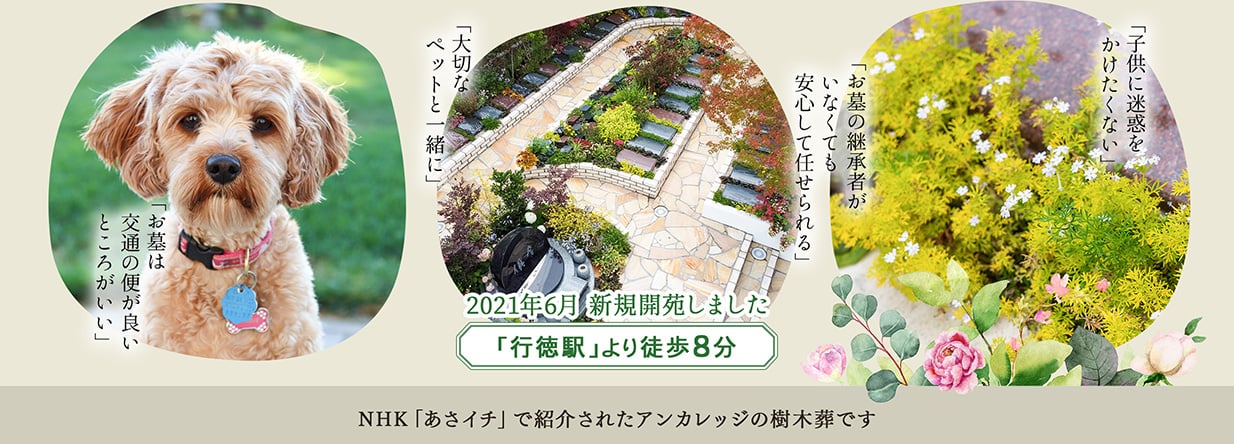 2021年春新規開しました　行徳駅より徒歩8分　NHKあさイチで紹介されたアンカレッジの庭苑です。