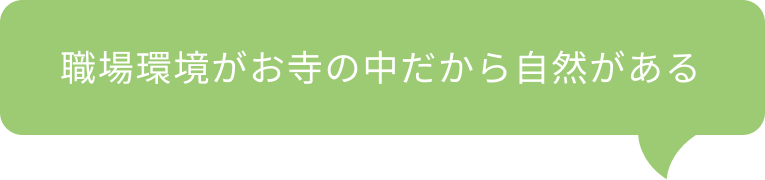 職場環境がお寺の中だから自然がある