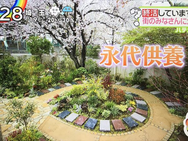 日本テレビ『ZIP!』に安詳寺・久が原庭苑が紹介されましたのイメージ画像