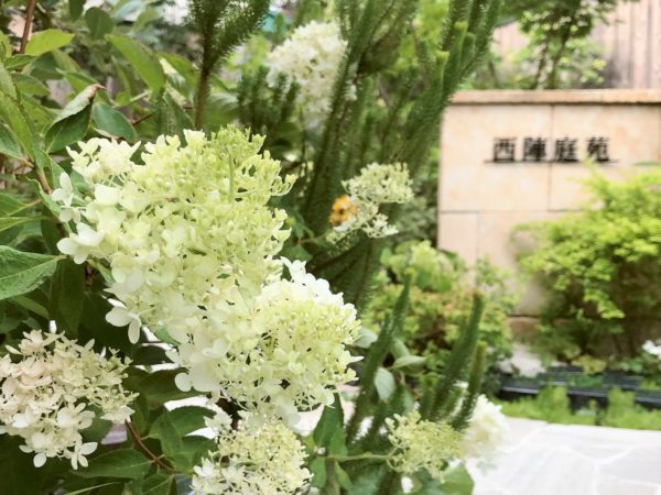 西陣庭苑・上京庭苑みのり ８月合同見学会開催時間変更のお知らせのイメージ画像