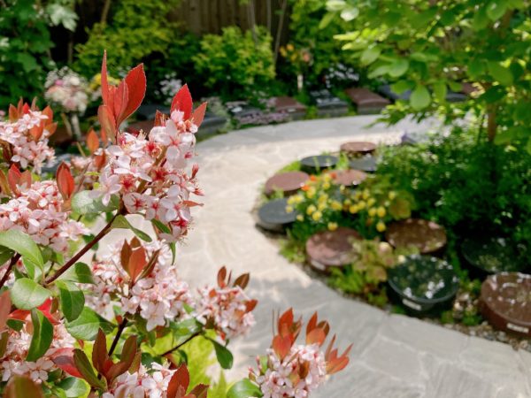 西陣庭苑・上京庭苑みのり　5月 見学会開催のお知らせのイメージ画像