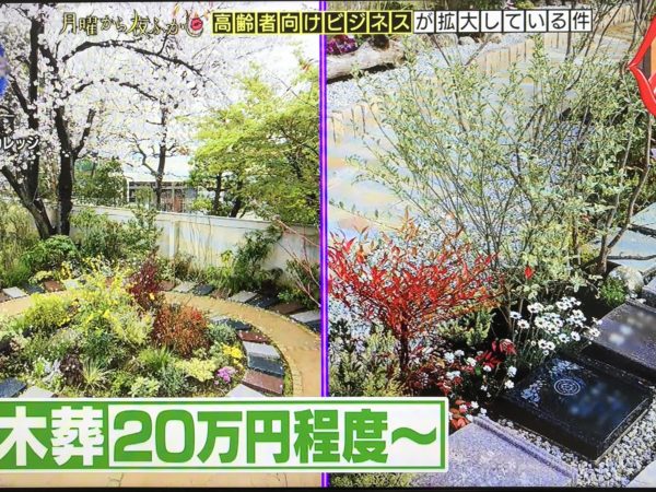 日本テレビ『月曜から夜ふかし』にアンカレッジの樹木葬が紹介されましたのイメージ画像